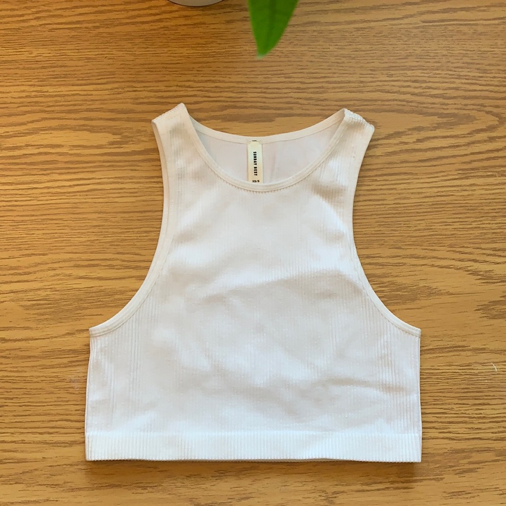 Aritizia Crop Top